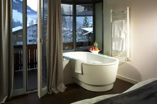 Arc-en-ciel Gstaad - 38