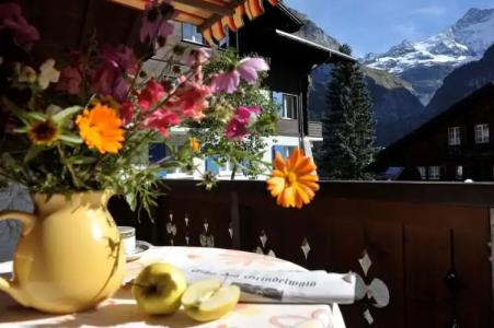 ApartEiger *** - Grindelwald - 12
