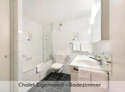 ApartEiger *** - Grindelwald - 153