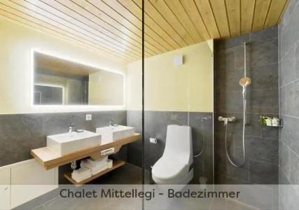 ApartEiger *** - Grindelwald - 82