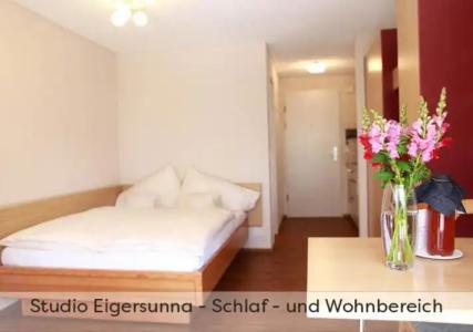 ApartEiger *** - Grindelwald - 95
