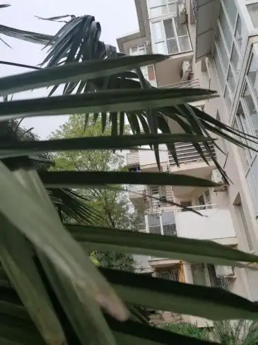 Apartment on Platanovaya - 17