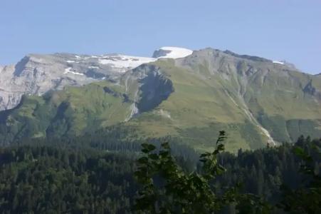 Schweizerhof - 25