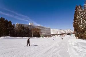 Hotel «Angel Grandia Echigo Nakazato», Юдзава