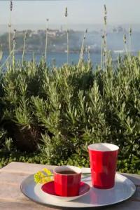 Witt Istanbul Suites - 48