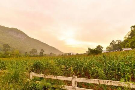 Family Khao Yai - 13