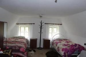 Molla Guest House, Тети