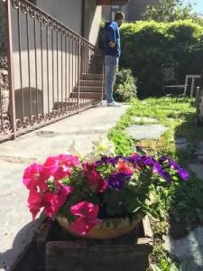 Maison Colombot - 20