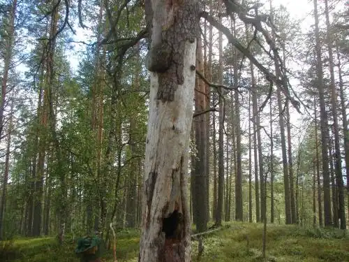 Дом на берегу - 63