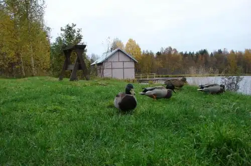 Дом на берегу - 69