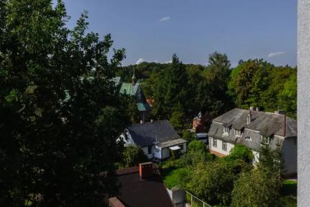 на тенистой аллее - 40