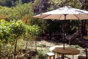 Borjomi Makvala's Guest House