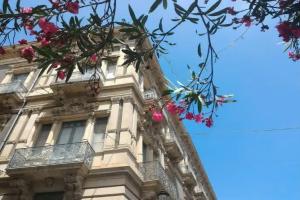 b&b Perla, Катания