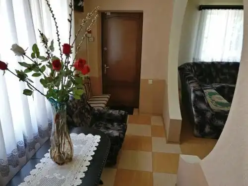 Космос 519 - 80