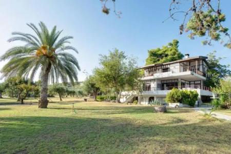 Malt BeachFront - 31