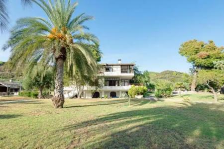 Malt BeachFront - 50