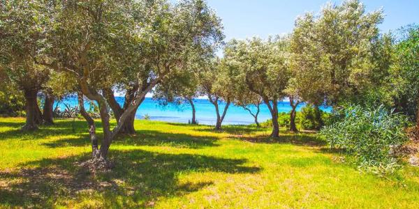 Malt BeachFront - 20