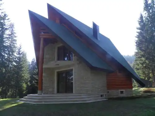 Chalet Villa Radulovic - 12