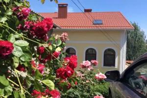 Гостевой дом «На Артиллерийской», Алушта