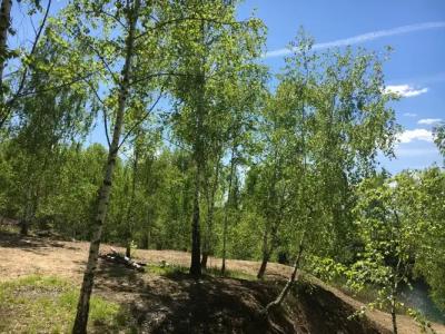 Владимир - 10