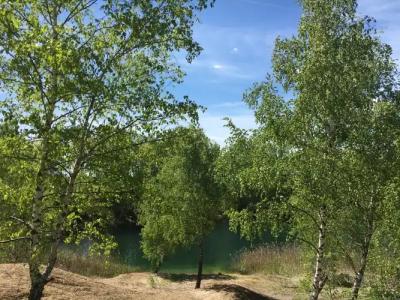 Владимир - 12