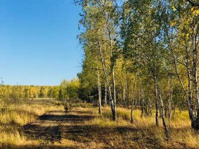 Владимир - 17