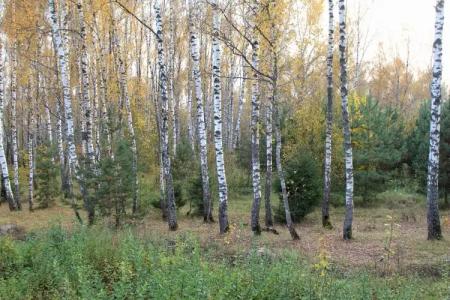 Владимир - 14