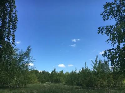 Владимир - 11