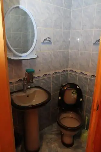 Белый аист - 21