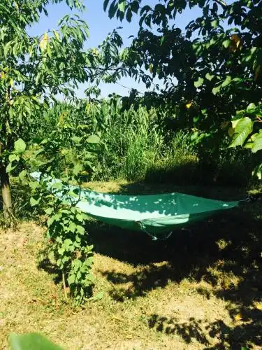 Morava Garden - 21