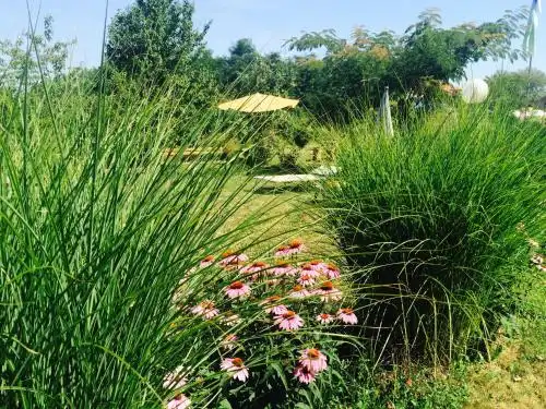 Morava Garden - 2