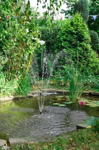 Morava Garden - 4