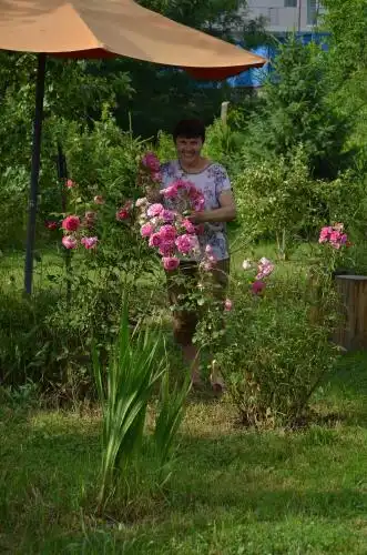 Morava Garden - 14