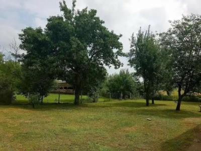 Veronika Guesthouse - 10