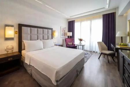 Electra Metropolis - 5