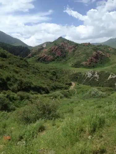 Aylu - 91