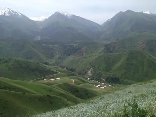 Aylu - 90