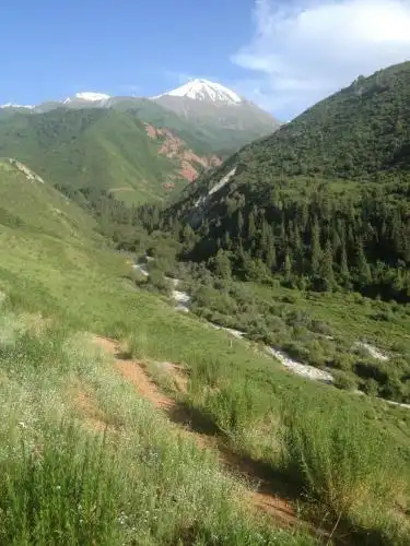 Aylu - 95