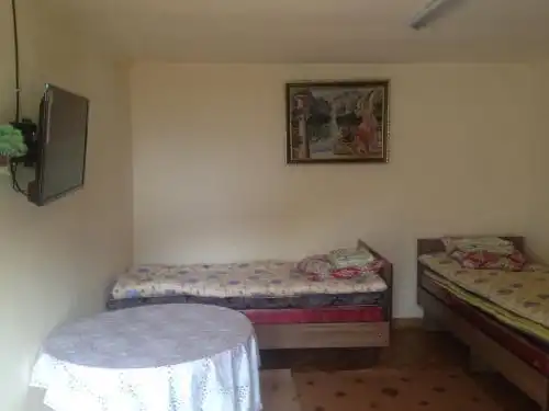 Aylu - 100