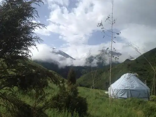 Aylu - 98