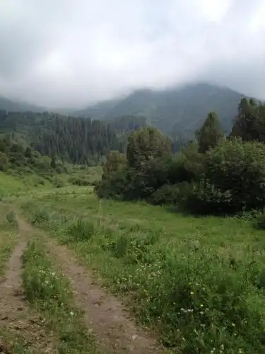 Aylu - 79