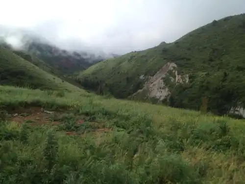 Aylu - 78