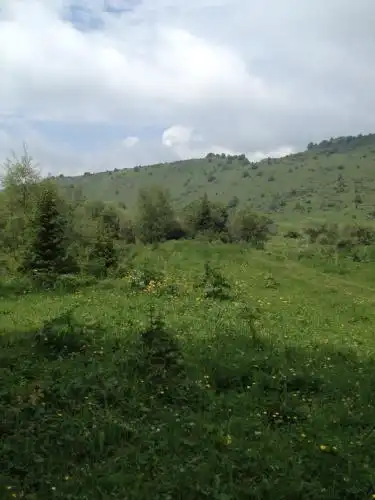 Aylu - 77