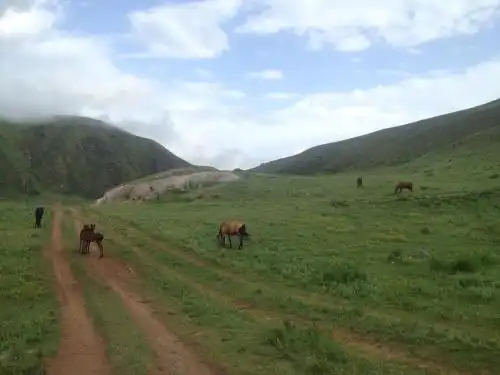Aylu - 74