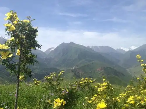 Aylu - 67