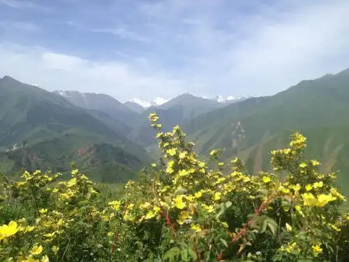 Aylu - 68