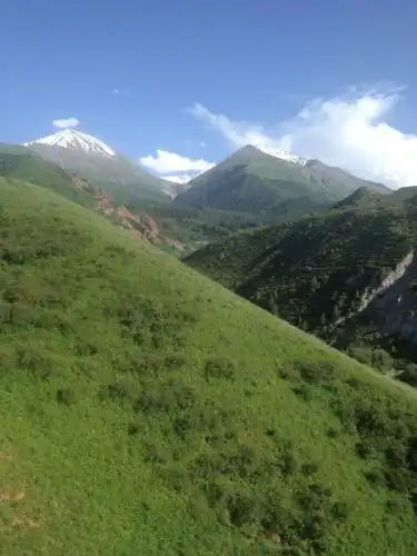Aylu - 49