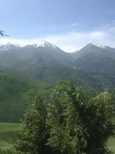 Aylu - 59