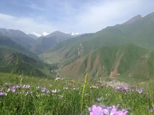 Aylu - 61