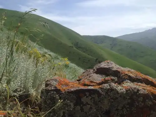 Aylu - 47